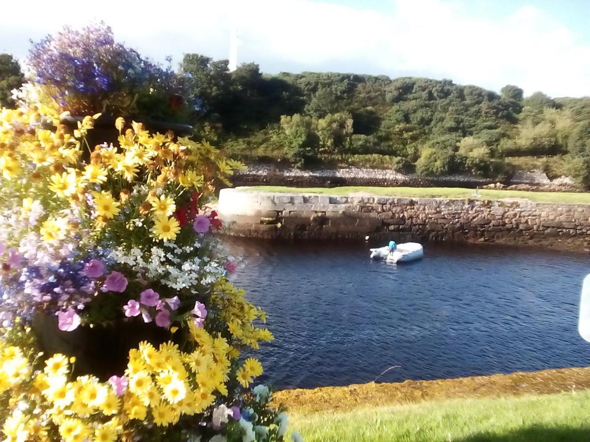 Sea Song, Selkie House Bed & Breakfast Helmsdale Exterior foto